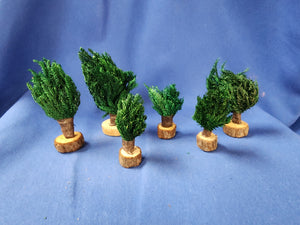 Froma Vitrum "Hedge Set"