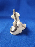 Krystonia "Miniature - Owhey"