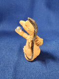 Krystonia "Miniature - Spyke"