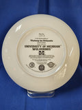 Sports Plates "Football - University Of Michigan Wolverines, Victory In Orlando"