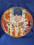 Sports Plates "Baseball - Ryan's Express"